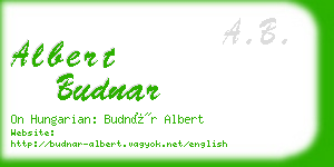 albert budnar business card